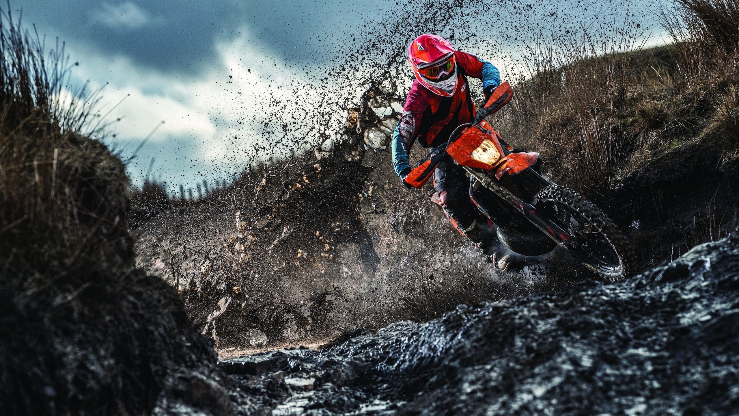 “汤姆·佩顿短距离自由泳再创佳绩,迈向国际舞台”